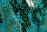 Vibrant Polished Malachite with Chrysocolla - DR Congo #320439-2